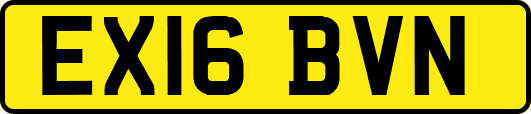 EX16BVN