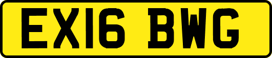 EX16BWG