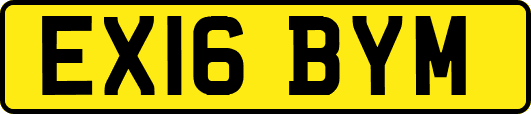 EX16BYM