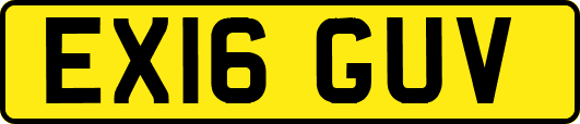 EX16GUV