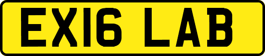 EX16LAB