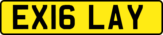 EX16LAY