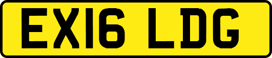 EX16LDG