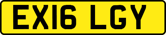 EX16LGY