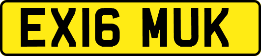 EX16MUK