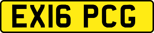 EX16PCG