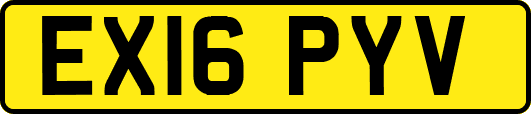 EX16PYV