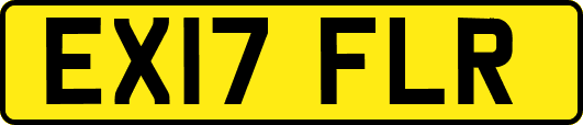 EX17FLR