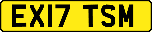 EX17TSM