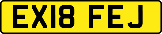 EX18FEJ