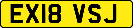 EX18VSJ