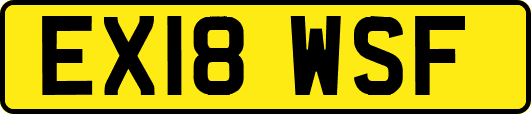 EX18WSF