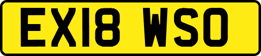 EX18WSO