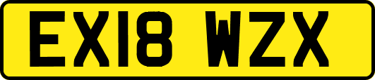 EX18WZX