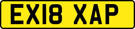 EX18XAP