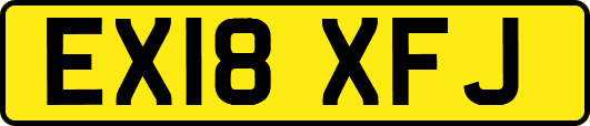 EX18XFJ