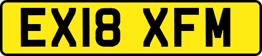 EX18XFM