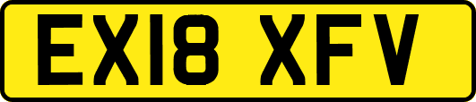 EX18XFV