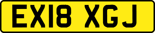 EX18XGJ