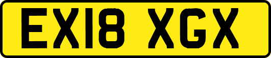 EX18XGX