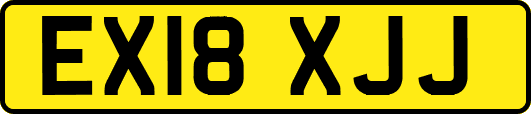 EX18XJJ