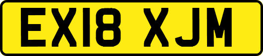 EX18XJM