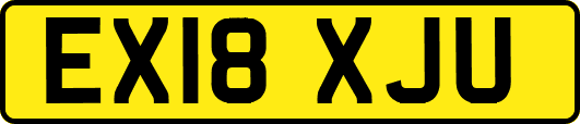 EX18XJU