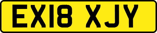 EX18XJY
