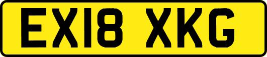 EX18XKG