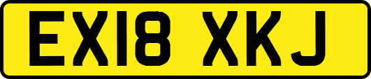 EX18XKJ