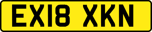 EX18XKN