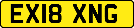 EX18XNG