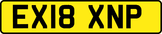 EX18XNP