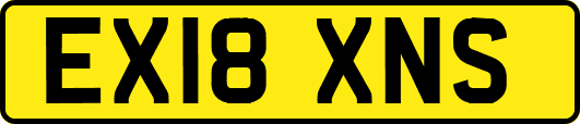 EX18XNS