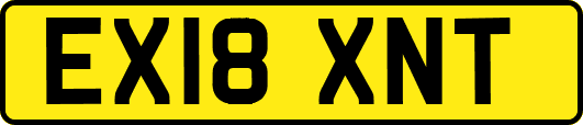 EX18XNT