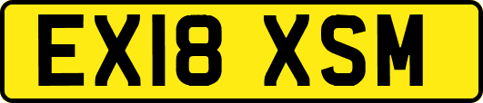 EX18XSM