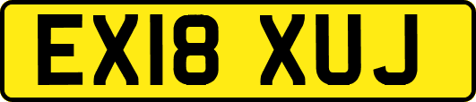 EX18XUJ