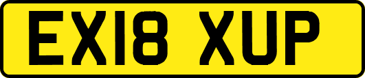 EX18XUP