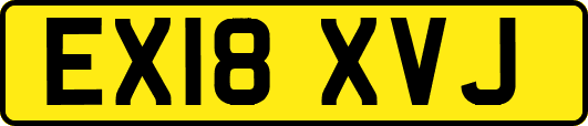 EX18XVJ