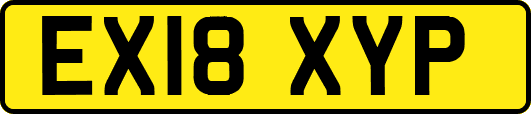 EX18XYP