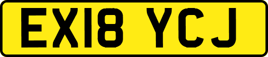 EX18YCJ