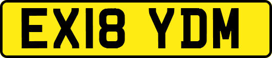 EX18YDM