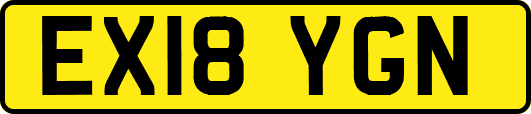 EX18YGN
