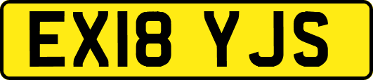 EX18YJS