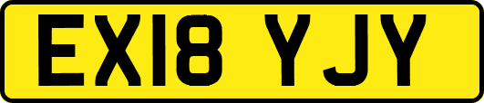 EX18YJY