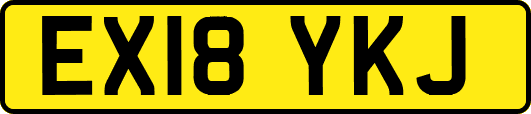 EX18YKJ