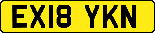 EX18YKN