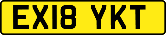 EX18YKT