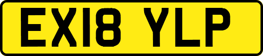EX18YLP