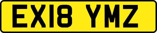 EX18YMZ